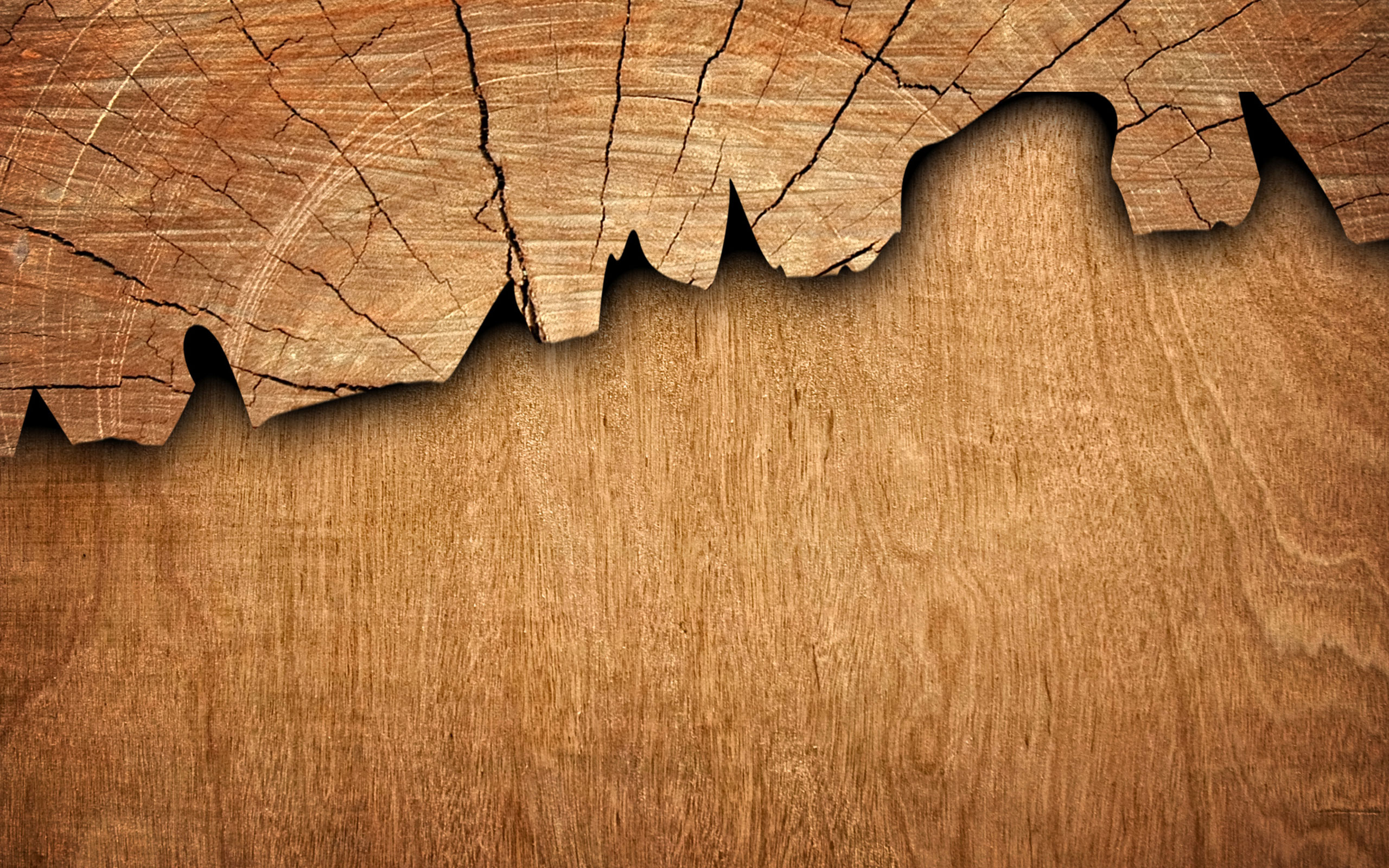 Hagen Schneider, Schreinermeister, Maulbronn, Telefon +49 (0) 70 43 / 78 50