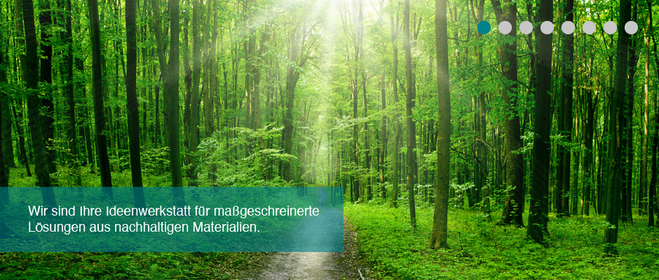 Schreinerei Hagen Schneider