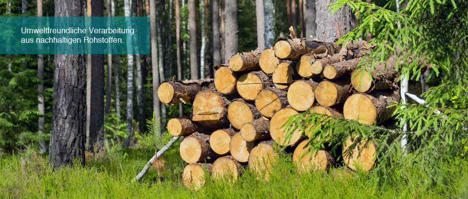 Schreinerei Hagen Schneider